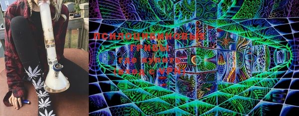 дмт Аркадак