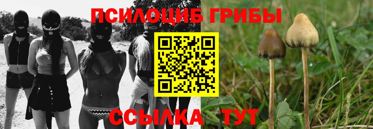 Галлюциногенные грибы мухоморы Ульяновск