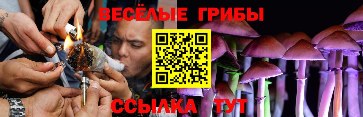 Галлюциногенные грибы Magic Shrooms  Вход с VPN  Ульяновск 